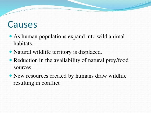 human-wildlife-conflict