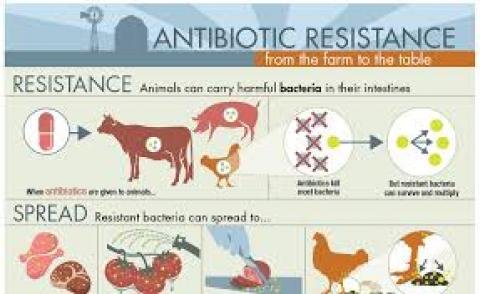 antimicrobeal resistance