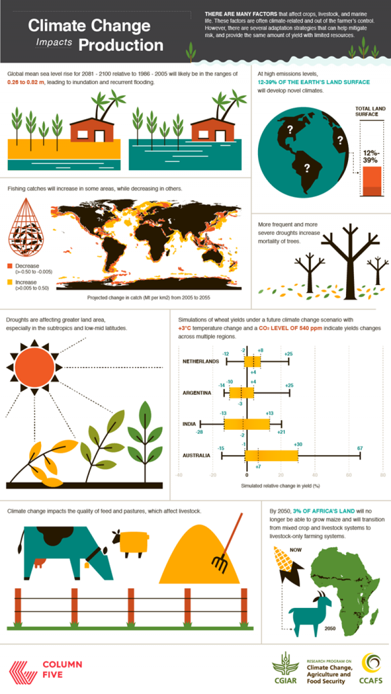 food security in climate change 