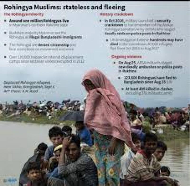 rohingya