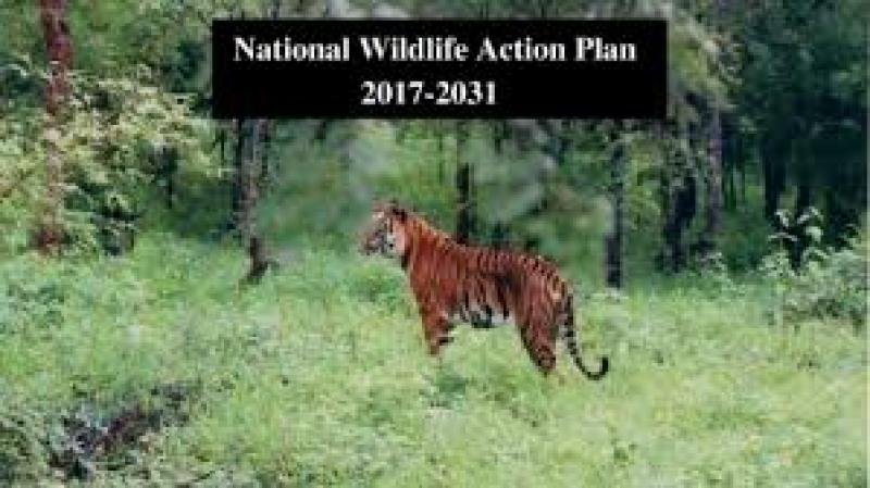 wildlife action plan