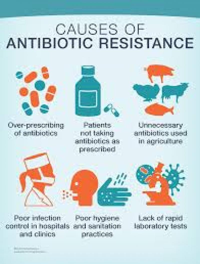 antibiotic drug resistance