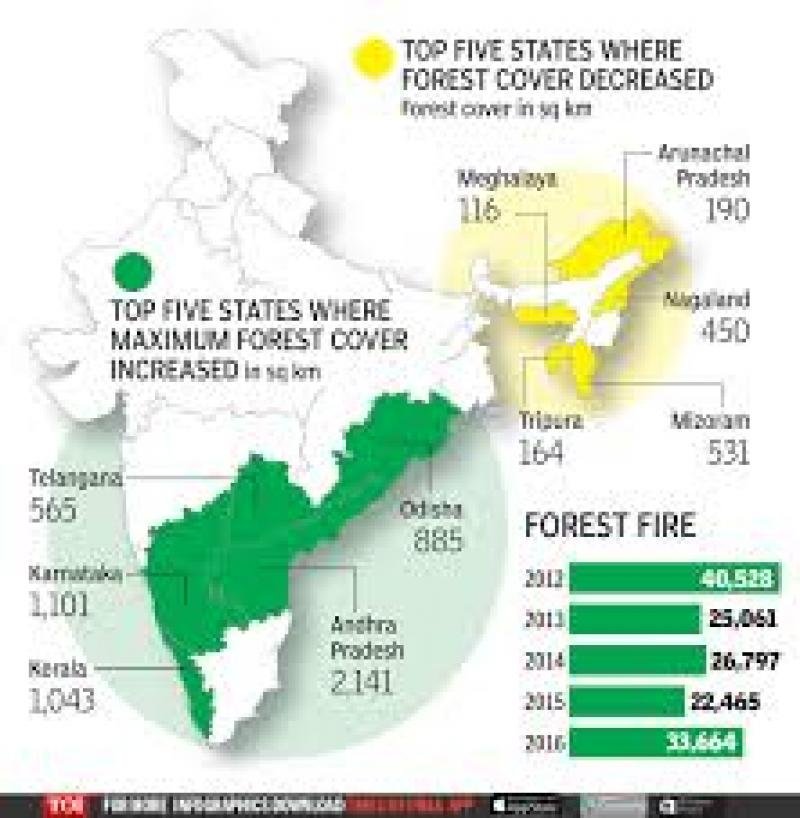state of forest report 2017