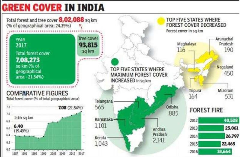 Forest coverage in the country