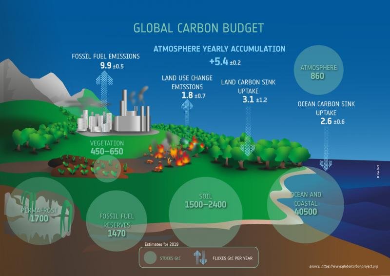 global carbon budget