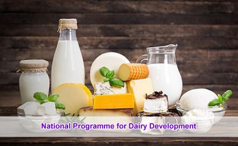 National Program for Dairy Development