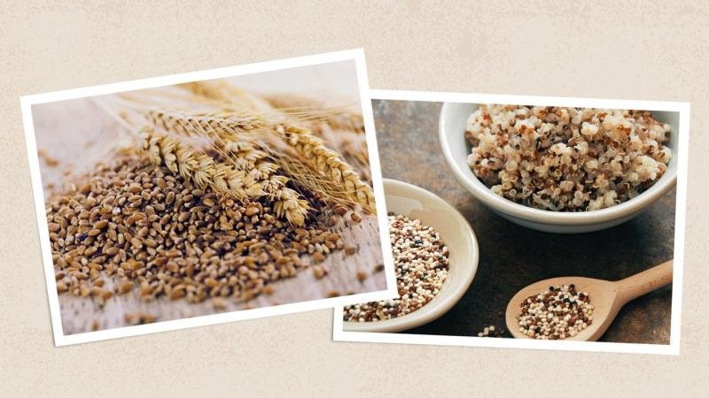 Nutritious grains in diet plans