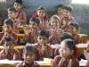 New Education Policy
