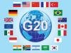 g-20