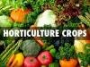 horti