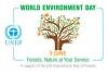 World environment day
