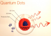 quantum dots