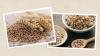 Nutritious grains in diet plans